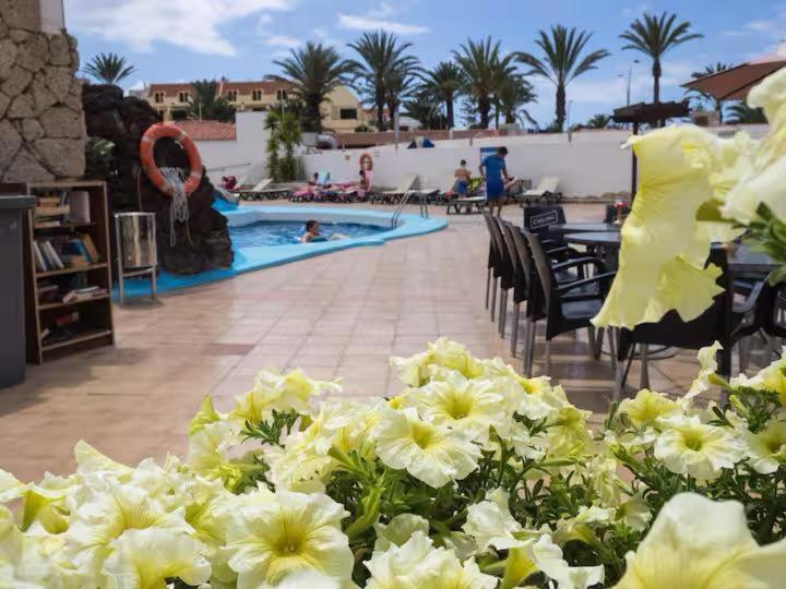 Apartment In Playa De Las Americas 1 エクステリア 写真